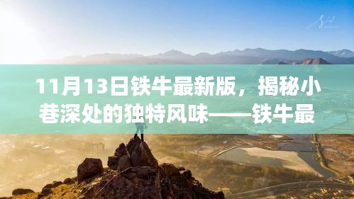 鐵牛最新版特色小店探索之旅，小巷深處的獨特風(fēng)味揭秘