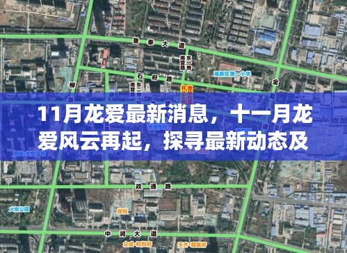 十一月龍愛風(fēng)云再起，最新動態(tài)與時代地位探尋