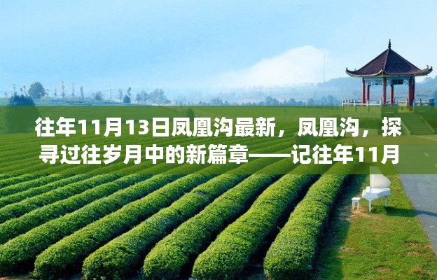 鳳凰溝探尋歲月變遷，往年11月13日的最新篇章