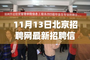 北京招聘網(wǎng)最新動態(tài)，聚焦招聘信息下的職場洞察與觀點碰撞（11月13日）