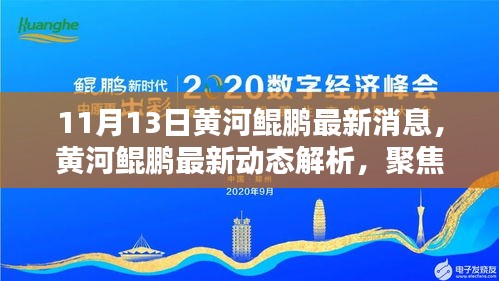 黃河鯤鵬最新動態(tài)解析，聚焦觀點與理由