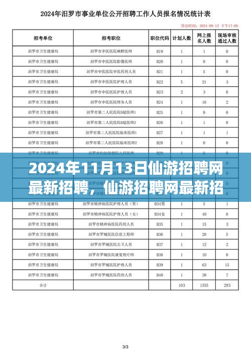 2024年11月13日仙游招聘網最新動態(tài)，聚焦人才市場熱點