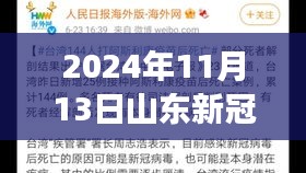 山東新冠疫情最新報(bào)告，多維視角下的深度分析（2024年11月13日）