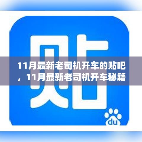 揭秘！11月最新老司機開車秘籍，貼吧駕駛技巧大解密！