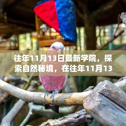 往年11月13日學(xué)院探索自然秘境之旅，追尋內(nèi)心的寧靜與笑聲