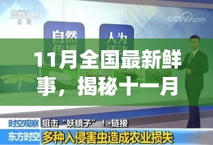 揭秘十一月全國新鮮事，熱點(diǎn)聚焦與科普解讀