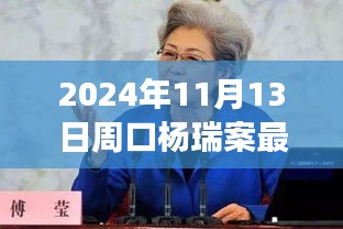 楊瑞案背后的故事，變化的力量與自信的重生最新進(jìn)展，周口楊瑞案深度剖析（2024年11月13日）
