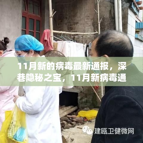深巷美食與隱秘病毒，11月最新通報的雙重探索