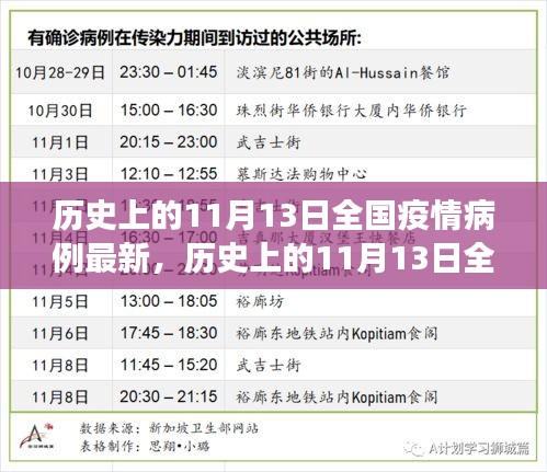 歷史上的11月13日全國(guó)疫情病例最新進(jìn)展與科普解讀，疫情動(dòng)態(tài)及影響分析