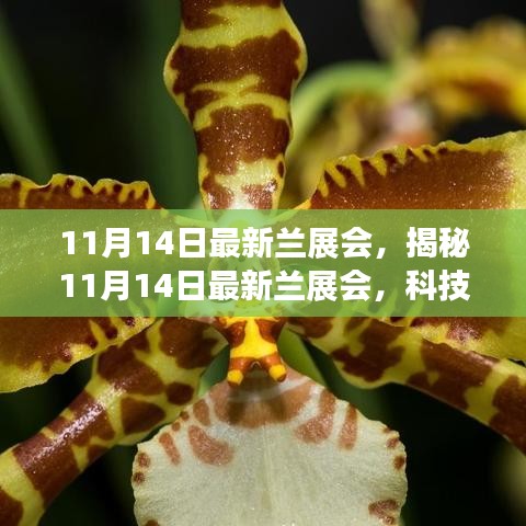 揭秘最新蘭展會，科技革新引領(lǐng)未來生活風(fēng)采展盛大開幕