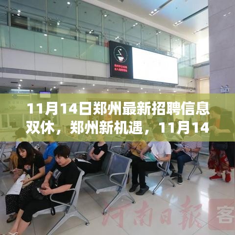 鄭州最新招聘信息揭秘，學習與成長之旅，雙休路上的自信與成就感