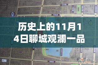 聊城觀瀾一品揭秘之旅，11月14日最新動態(tài)探秘隱藏小巷