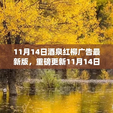 11月14日酒泉紅柳廣告最新版，重磅更新，精彩紛呈