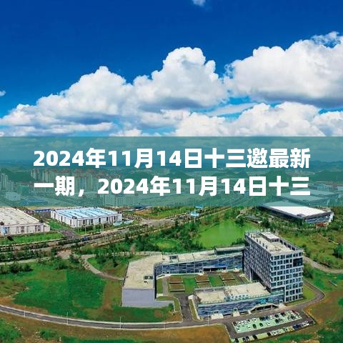 聚焦觀點之爭，深度解析2024年最新一期十三邀