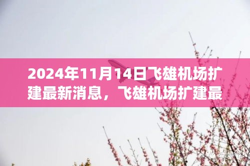 2024年11月14日飛雄機場擴建最新進(jìn)展與動態(tài)