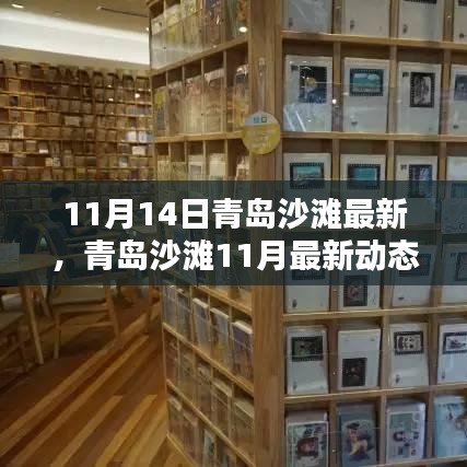 探尋秋日青島沙灘別樣風(fēng)情，最新動態(tài)與沙灘風(fēng)情體驗（11月篇）