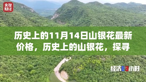 招標(biāo)采購(gòu) 第142頁(yè)