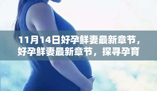 探尋孕育新生命的喜悅與挑戰(zhàn)，好孕鮮妻最新章節(jié)于11月14日更新
