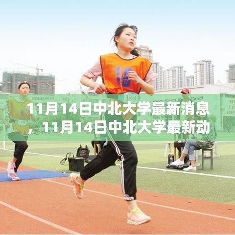11月14日中北大學(xué)最新消息與動態(tài)速遞，校園熱點一覽