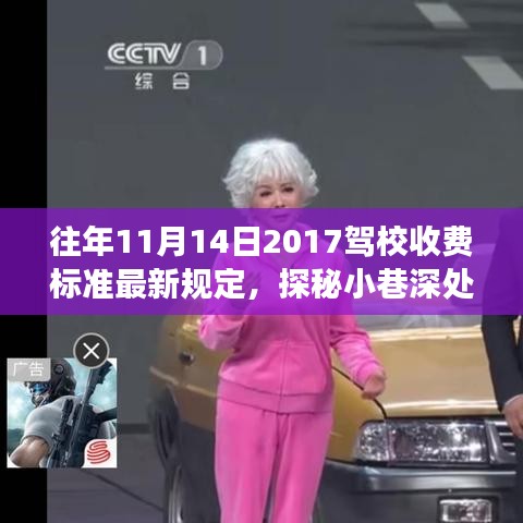 探秘駕校新規(guī)定下的駕駛夢想港灣，獨特學(xué)車體驗與最新收費(fèi)標(biāo)準(zhǔn)揭秘