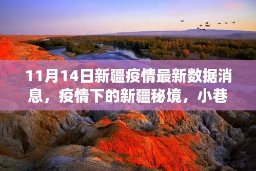 新疆疫情最新動(dòng)態(tài)，秘境小巷的特色小店與疫情數(shù)據(jù)交織的故事