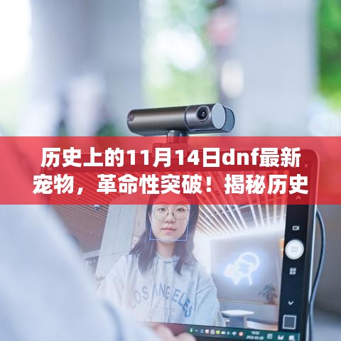 揭秘歷史上的11月14日dnf全新智能寵物，未來生活的新伙伴，革命性突破！