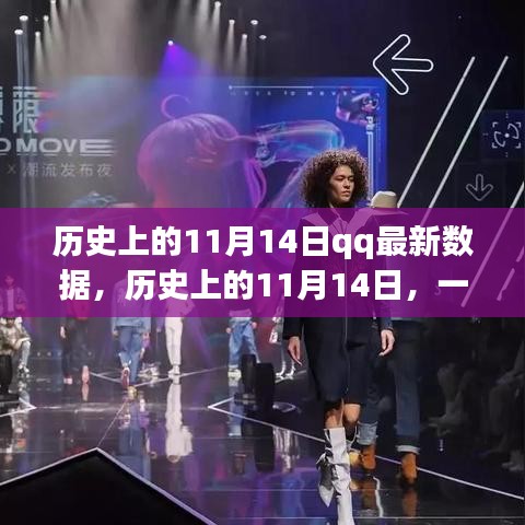 歷史上的11月14日，QQ數(shù)據(jù)揭秘與自然的共舞之旅