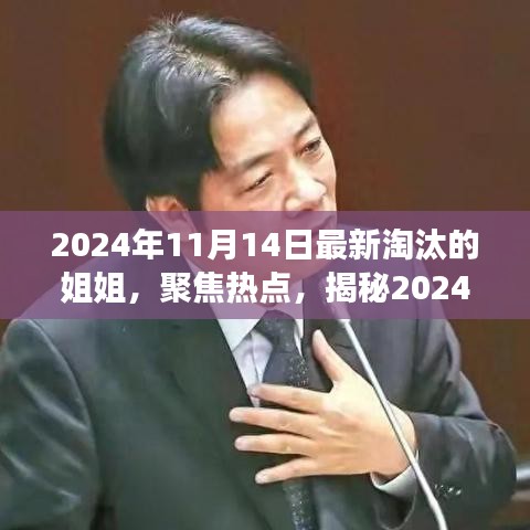 揭秘，2024年11月14日最新淘汰的姐姐背后的故事與熱點聚焦
