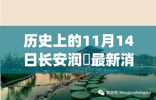 長安潤璟秘境探索，歷史與美食的碰撞時刻，最新消息揭秘秘密小店