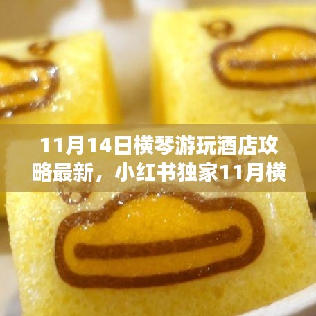 11月橫琴游玩酒店最新攻略，小紅書獨家指南，暢游無憂住宿體驗
