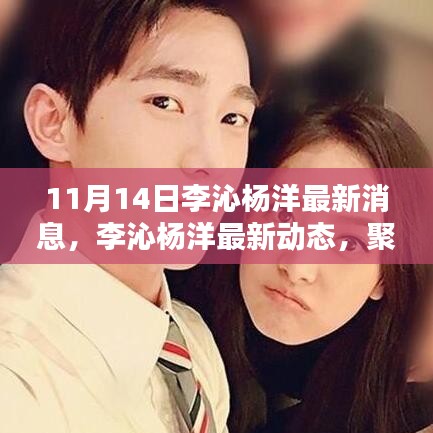 李沁楊洋最新動態(tài)深度解析，聚焦要點揭秘最新消息