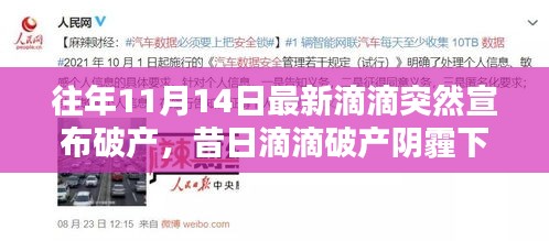 昔日滴滴破產陰霾下，自然綠洲的心靈庇護所