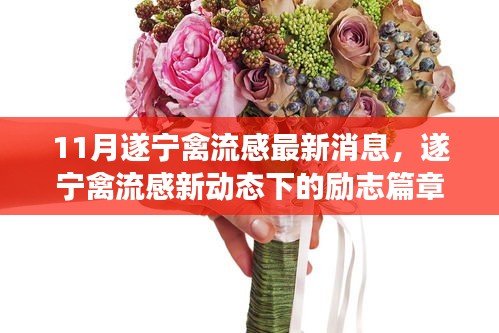 遂寧禽流感最新動(dòng)態(tài)下的勵(lì)志篇章，變化中的學(xué)習(xí)成就自信之源