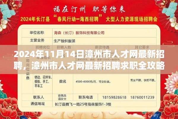漳州市人才網(wǎng)最新招聘求職攻略，成功應(yīng)聘心儀職位全解析（2024年11月）