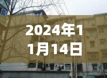 洛寧二手房最新信息探索，巷弄之韻與隱藏的小巷故事（最新信息門戶）