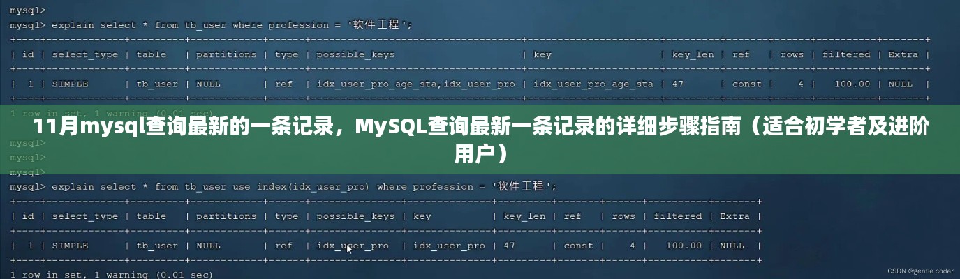 MySQL查詢(xún)最新記錄步驟詳解，從初學(xué)者到進(jìn)階用戶(hù)的指南