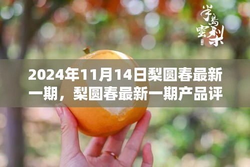 梨圓春產品評測報告，特性、體驗、對比與用戶需求深度解析