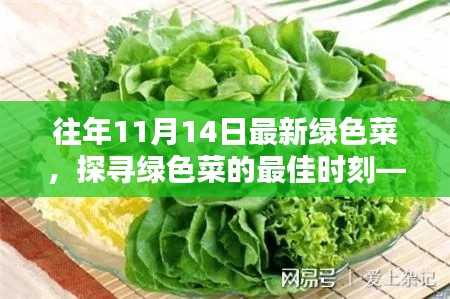 探尋綠色菜的最佳時(shí)刻，以往年11月14日為例的蔬菜盛宴
