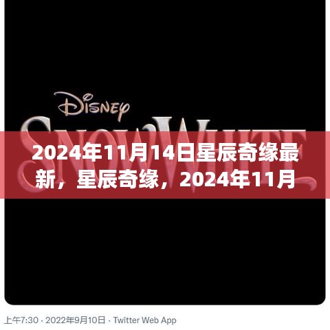 星辰奇緣夢幻邂逅，2024年11月14日星辰大海的最新揭秘