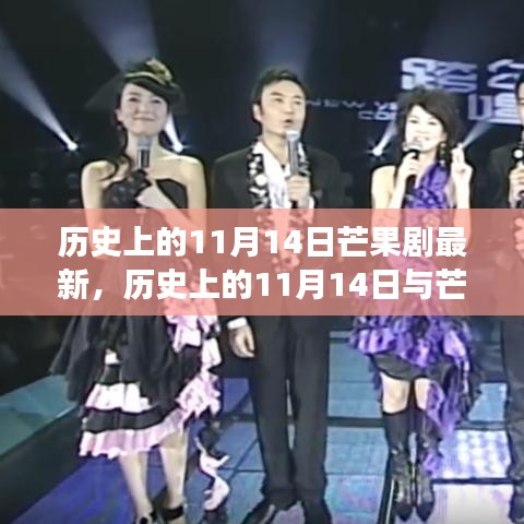 歷史上的11月14日，芒果劇最新動(dòng)態(tài)及其背后的價(jià)值變遷探究