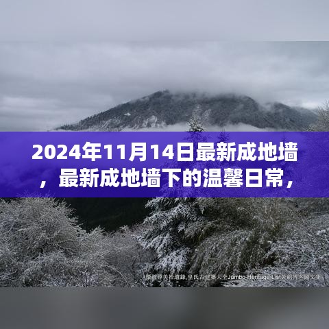 最新成地墻下的溫馨日常，友誼與愛共筑美好家園的2024年1月記事