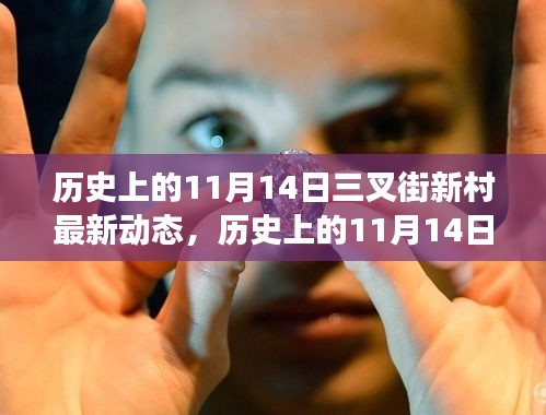 歷史上的11月14日三叉街新村最新動(dòng)態(tài)揭秘，全方位解讀社區(qū)變遷與跟進(jìn)策略