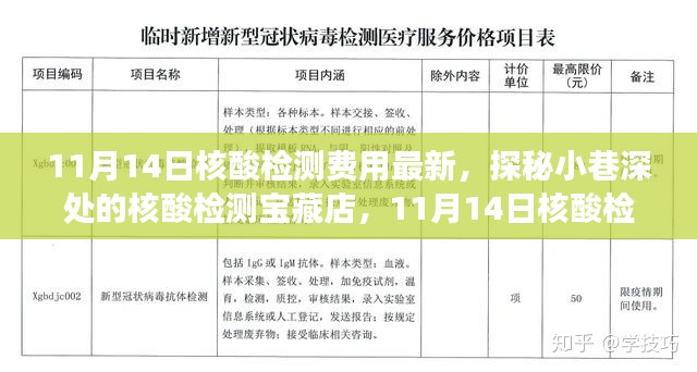 探秘核酸檢測寶藏店，揭秘最新核酸檢測費(fèi)用新鮮事（11月14日更新）