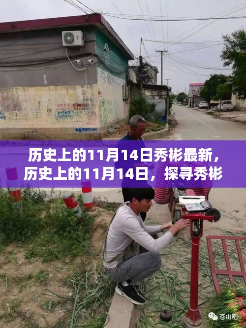 探尋秀彬的最新足跡，歷史上的11月14日回顧與最新進展
