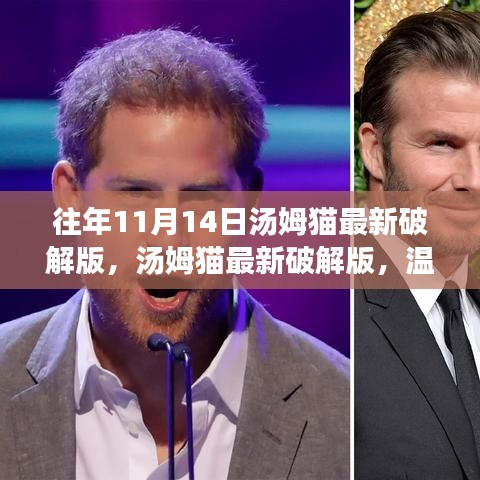 溫馨十一月，湯姆貓最新破解版與友情相伴的奇妙日常