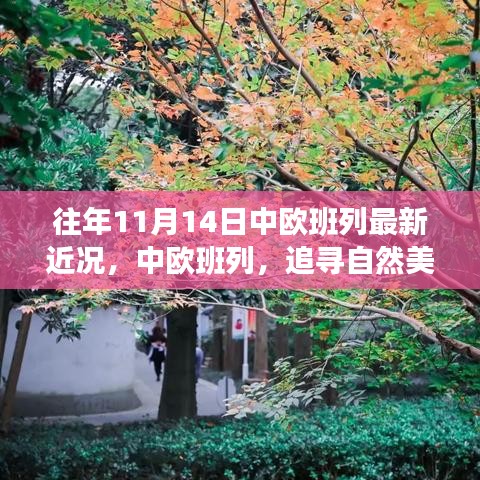中歐班列秋日序曲，追尋自然美景與內(nèi)心寧靜之旅的最新近況