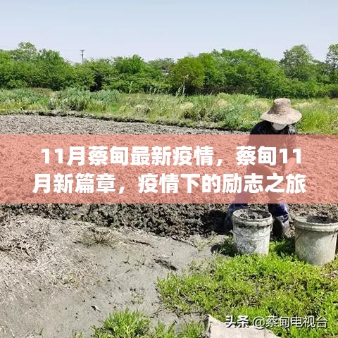 蔡甸11月疫情新篇章，勵志之旅展現自信與成就之光