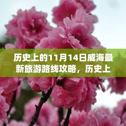 歷史上的11月14日威海旅游路線全新攻略，最新旅游路線探索