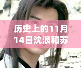 歷史上的11月14日揭秘沈浪和蘇若雪最新進展，最新故事進展揭秘！