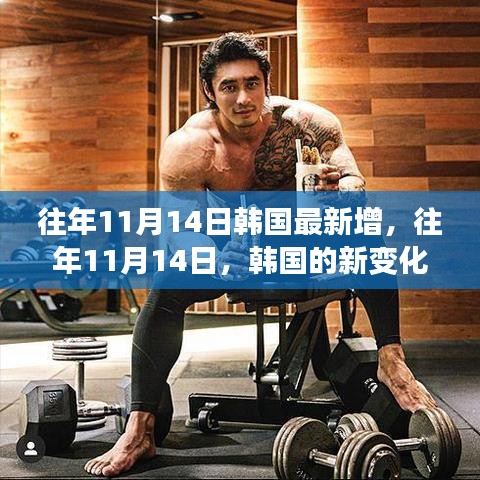 韓國(guó)成長(zhǎng)之路，歷年11月14日的新變化概覽